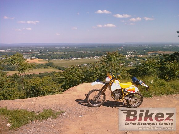1991 Suzuki DR 350 S photo